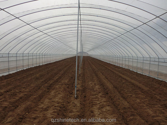 PE-tunnel kas voor hydroponische tomatenverbouwing Gemakkelijke montage Lengte 10-100m