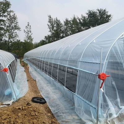 PE-tunnel kas voor hydroponische tomatenverbouwing Gemakkelijke montage Lengte 10-100m
