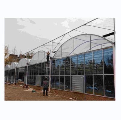 Hot Dip gegalvaniseerd stalen buis frame Multi Span Landbouw kas
