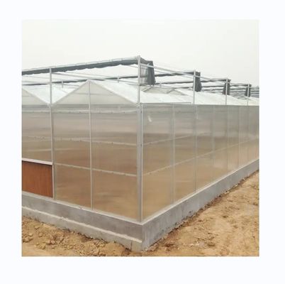 Supersterke weerstand polycarbonaat kas complete set voor commerciële landbouw