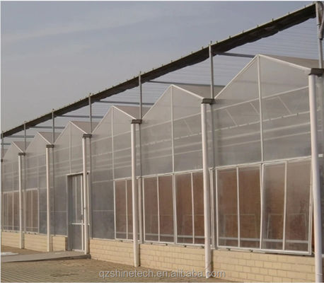 Supersterke weerstand polycarbonaat kas complete set voor commerciële landbouw