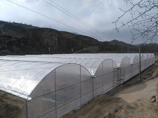 Hot Dip gegalvaniseerd stalen buis frame Multi Span Landbouw kas