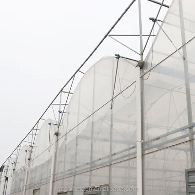Hot Dip gegalvaniseerd stalen buis frame Multi Span Landbouw kas