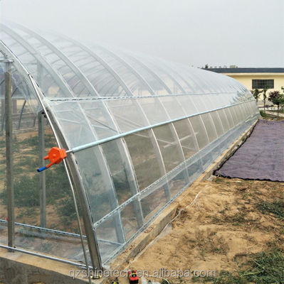 Kleine single span PE plastic film kas voor groentenbouw 10-100m lengte