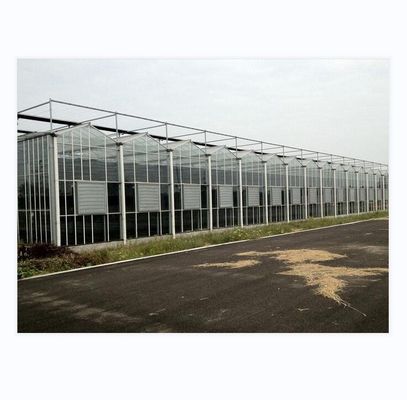 Grote Landbouw Intelligente Holland Serre Glas voor Tomaten Komkommer Salad