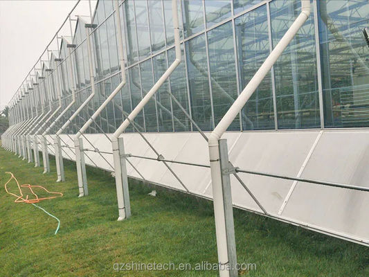 Grote Landbouw Intelligente Holland Serre Glas voor Tomaten Komkommer Salad
