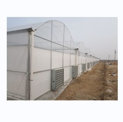Super sterke weerstand Multi Span landbouw kas door Shine Tech