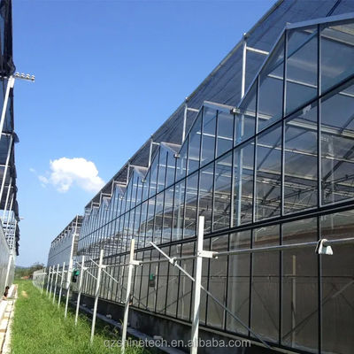 Grote Landbouw Intelligente Holland Serre Glas voor Tomaten Komkommer Salad