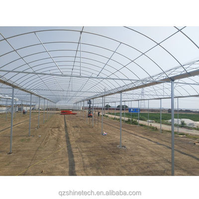 Super sterke weerstand Multi Span landbouw kas door Shine Tech