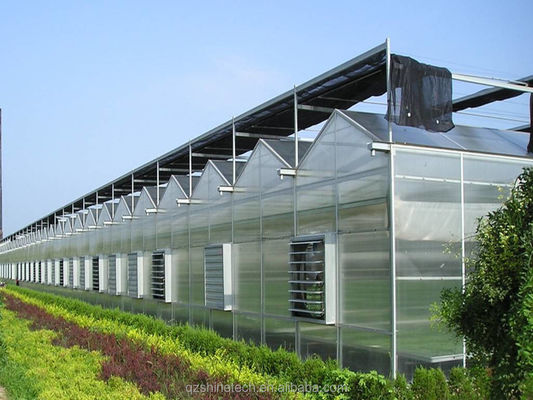 PC Plastic polycarbonaatplaat Multi Span Hydroponische kas