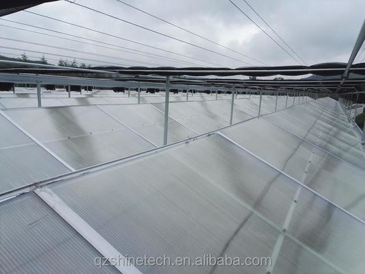 PC Plastic polycarbonaatplaat Multi Span Hydroponische kas