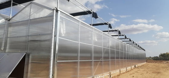 PC Plastic polycarbonaatplaat Multi Span Hydroponische kas
