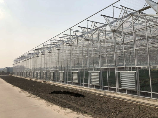 Grote Landbouw Intelligente Holland Serre Glas voor Tomaten Komkommer Salad