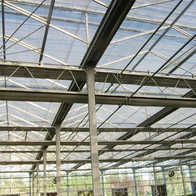 Grote Landbouw Intelligente Holland Serre Glas voor Tomaten Komkommer Salad