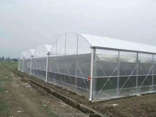 Supersterke weerstand Landbouw Meerdere ruimten kasruimte voor groenten