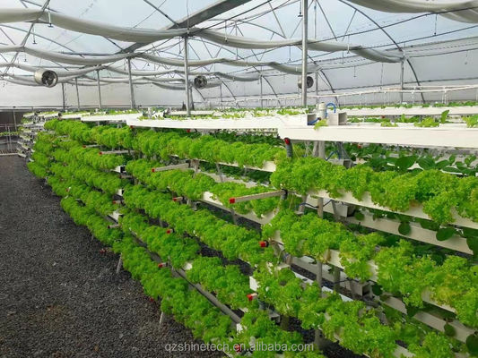 Hydroponisch groeisysteem 100*50mm NFT PVC-pijp Verticale landbouw met witte accessoires