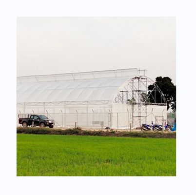 200 micron UV-bescherming PE-film Single Tunnel Greenhouse Voor tomaten en komkommers