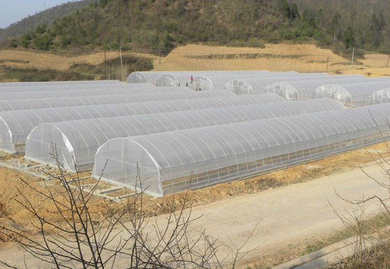 200 micron UV-bescherming PE-film Single Tunnel Greenhouse Voor tomaten en komkommers