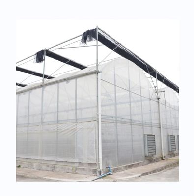 Multi-Span Landbouwfilm Kas Met Super Sterke Weerstand