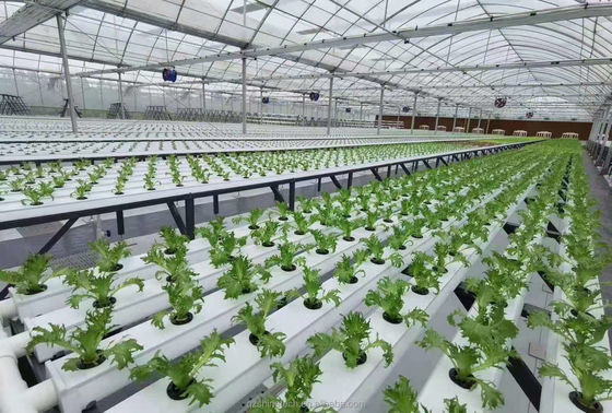 Horizontaal PVC-NFT-kanaal voor hydroponische groentenverbouwing op maat