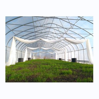 Groenplaats met een enkele lengte (single span)