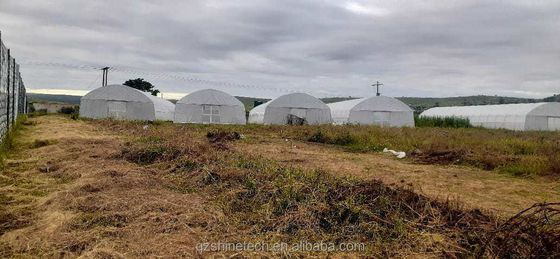 Groenplaats met een enkele lengte (single span)