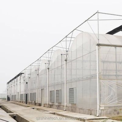 8m Span Breedte Multi Span Landbouwgreenhouses Voor veelzijdige landbouwoplossingen