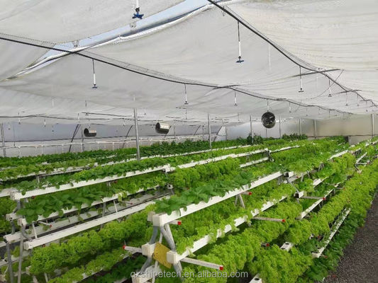 Video Uitgaande inspectie Hydroponische kas voor de productie van groente