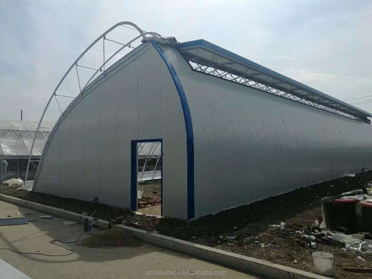 Tomaten-aardbeienbloem hydroponisch winterdekker kas met dubbellaag filmbedekking