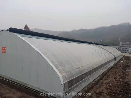 Tomaten-aardbeienbloem hydroponisch winterdekker kas met dubbellaag filmbedekking