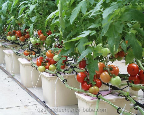 30*25*23cm Dutch Bucket Complete Hydroponic Growing System Voor Tomaten Komkommer Peper