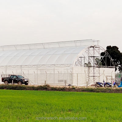Komkommerbouw Kleine landbouw tunnel kas met gegalvaniseerd stalen frame