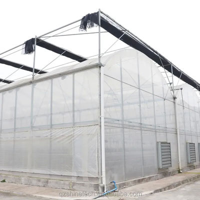 8 m breedte poly-tunnel kas voor de teelt van hoge opbrengst tomaten