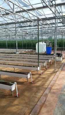 Hydroponische plantengoten voor het kweken van chilipeper, komkommers en aardbeien