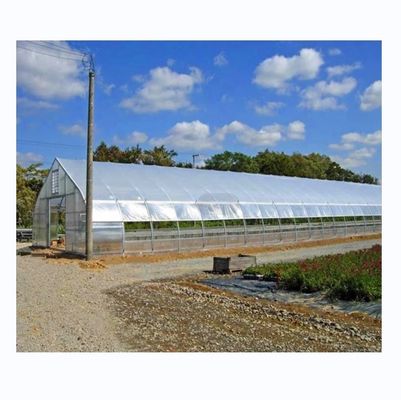 Hot Dip gegalvaniseerd stalen buis frame Single Span Landbouwgreenhouse voor groei tent