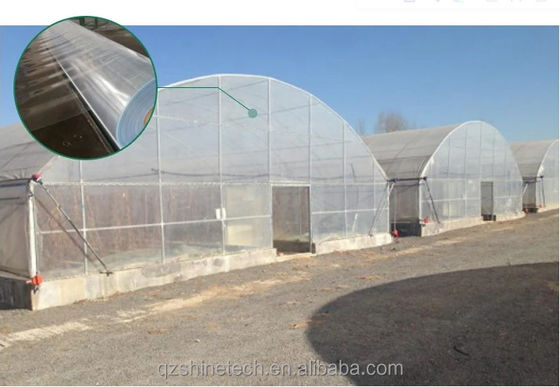 Hot Dip gegalvaniseerd stalen buis frame Single Span Landbouwgreenhouse voor groei tent