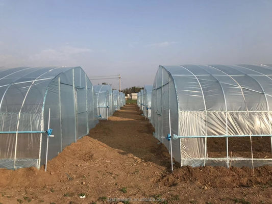 Hot Dip gegalvaniseerd stalen buis frame Single Span Landbouwgreenhouse voor groei tent