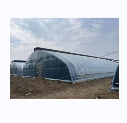 PE-eenlaag zonne-tunnel Landbouw kas 4-6m hoogte