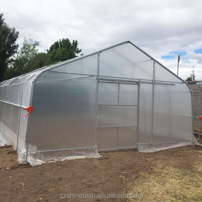Hot Dip gegalvaniseerd stalen buis frame Single Span Landbouwgreenhouse voor groei tent