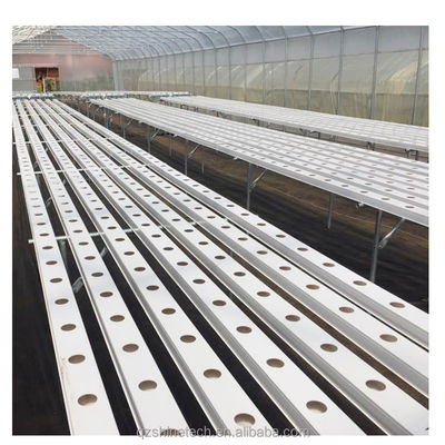 Video-inspectie 100 * 50 mm PVC-plantgroef voor aangepaste NFT-hydroponics