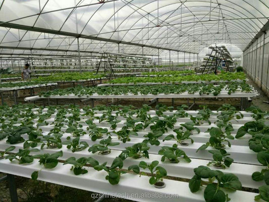 Video-inspectie 100 * 50 mm PVC-plantgroef voor aangepaste NFT-hydroponics