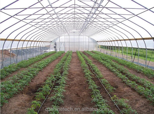 Hot Dip gegalvaniseerd stalen buis frame Single Span Landbouwgreenhouse voor groei tent