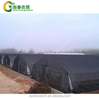 Hot Dip gegalvaniseerd stalen buis frame Single Span Landbouwgreenhouse voor groei tent