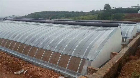 PE-eenlaag zonne-tunnel Landbouw kas 4-6m hoogte
