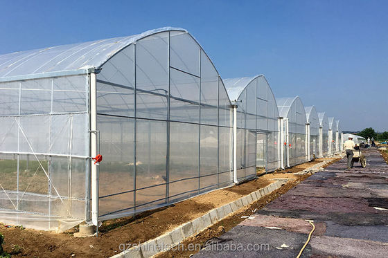 150/200 Micron Plastic Film Multi Span Serre voor groenten en bloemen