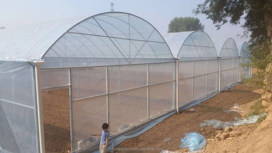 150/200 Micron Plastic Film Multi Span Serre voor groenten en bloemen