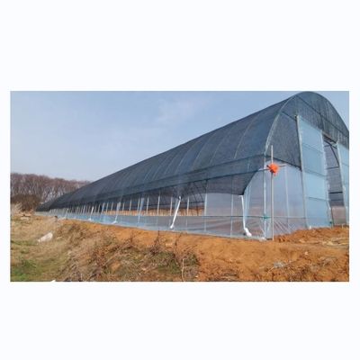Groentehuizen voor landbouw met een enkele span schaduwnetten