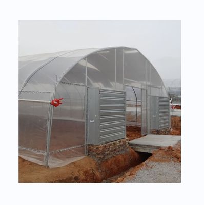 Koelsysteem Landbouwkasten met een enkele span voor de tomatenbouw