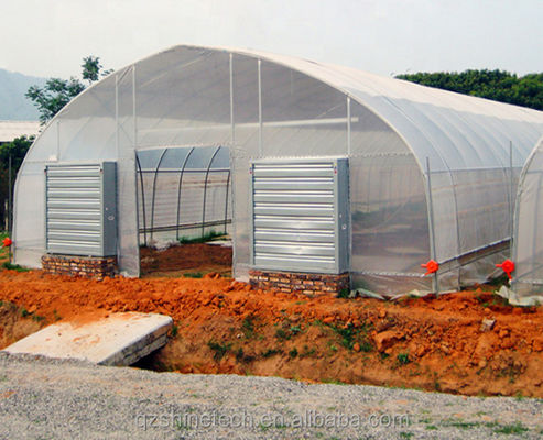 Koelsysteem Landbouwkasten met een enkele span voor de tomatenbouw