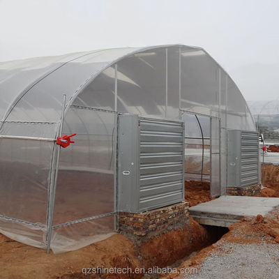 Koelsysteem Landbouwkasten met een enkele span voor de tomatenbouw